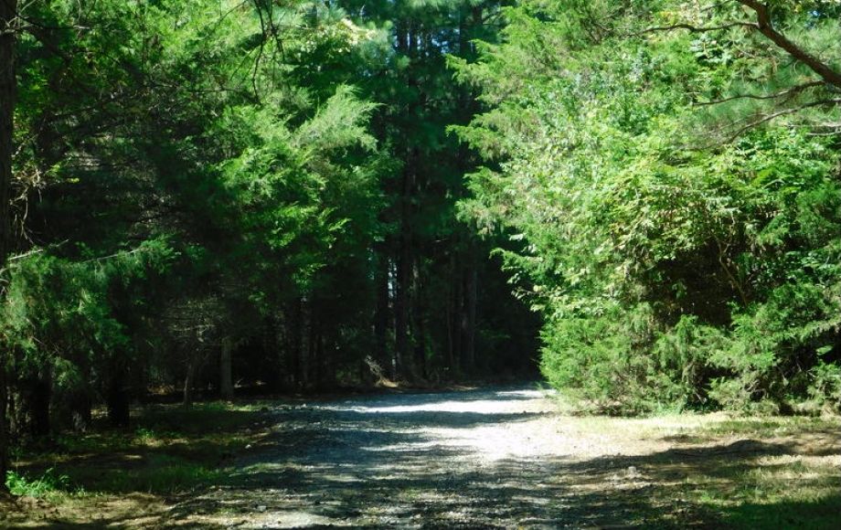 Image for 3 BR/2 BA Home w/Large Work Shop on 3.8 +/- Acres in Orange County, VA