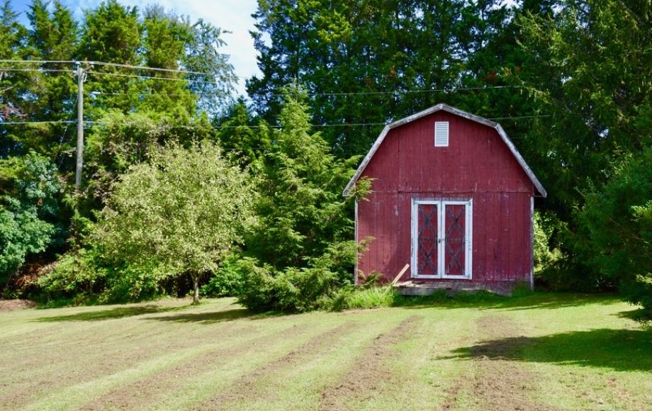 Image for Well Built 3 BR/2 BA Home w/Pond on 4.9 +/- Acres in South Stafford County, VA