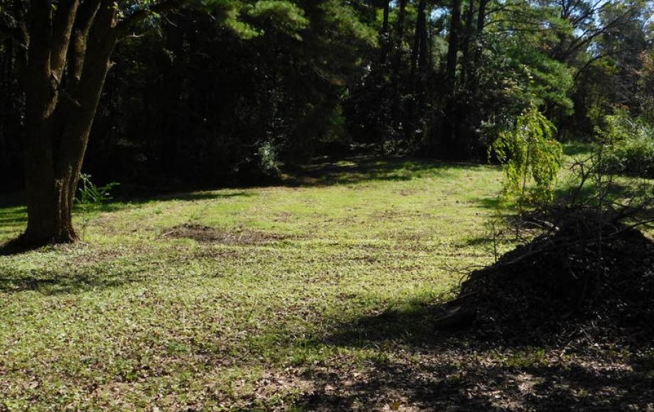 Image for Solid 3 BR/1 BA Home w/Outbuildings on Double Lot only 1/2 Mile from Main St. in Louisa, VA