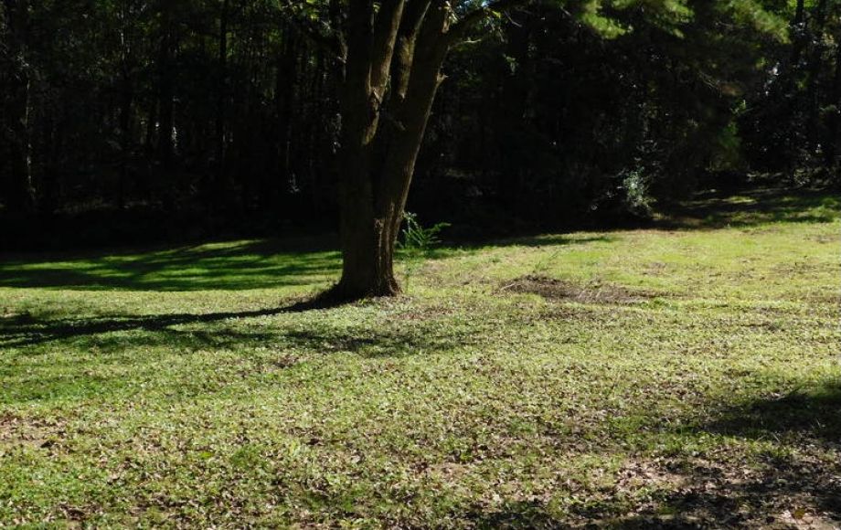 Image for Solid 3 BR/1 BA Home w/Outbuildings on Double Lot only 1/2 Mile from Main St. in Louisa, VA