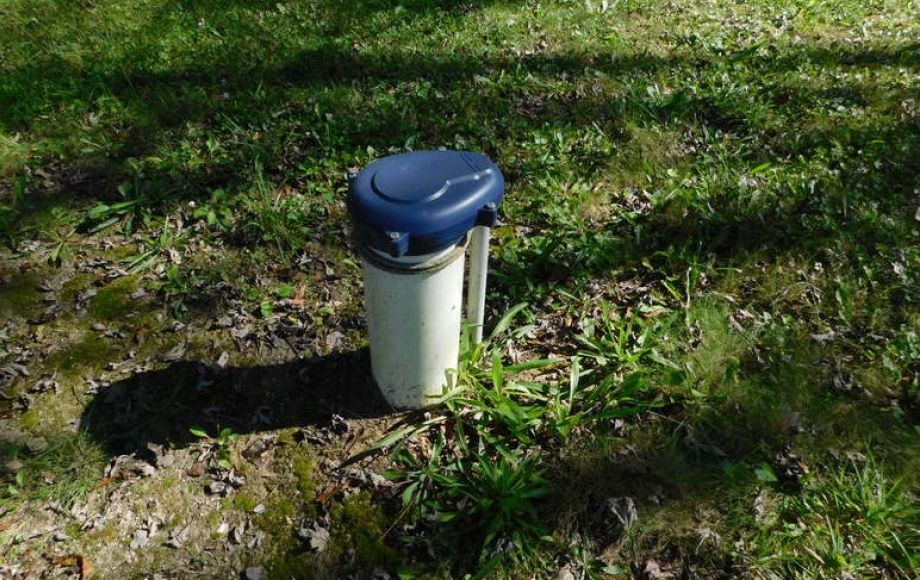 Image for Solid 3 BR/1 BA Home w/Outbuildings on Double Lot only 1/2 Mile from Main St. in Louisa, VA