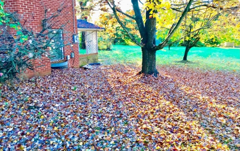 Image for Solid 3 BR/3 BA Brick Ranch Style Home w/Basement—Sells to the Highest Bidder!!