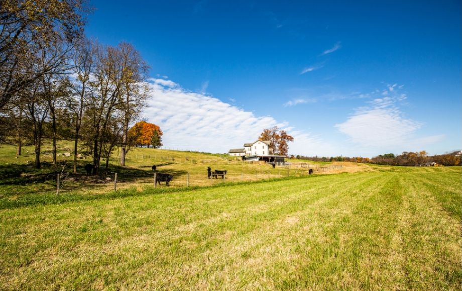 Image for Bear Wallow Farm/David Fultz House: 35 +/- Acres—Immaculately Restored and Historic 4 BR Home