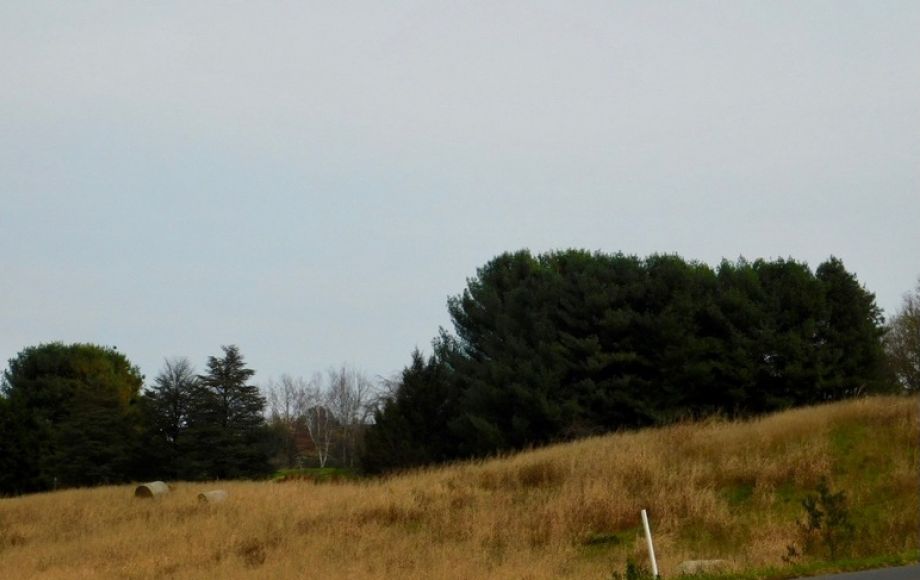 Image for Beautiful 3.68 +/- Acre Building Lot in Culpeper County, VA