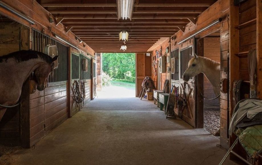 Image for 3 BR/3 BA Home w/Finished Basement on 5.8 +/- Acres & Income Producing Log Cabin Duplex on 25 +/- Ac