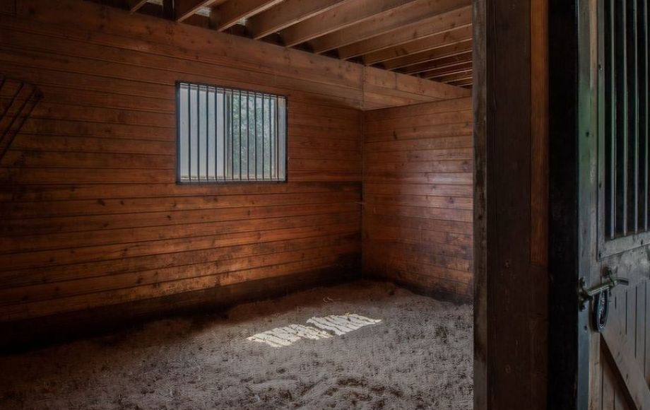 Image for 3 BR/3 BA Home w/Finished Basement on 5.8 +/- Acres & Income Producing Log Cabin Duplex on 25 +/- Ac