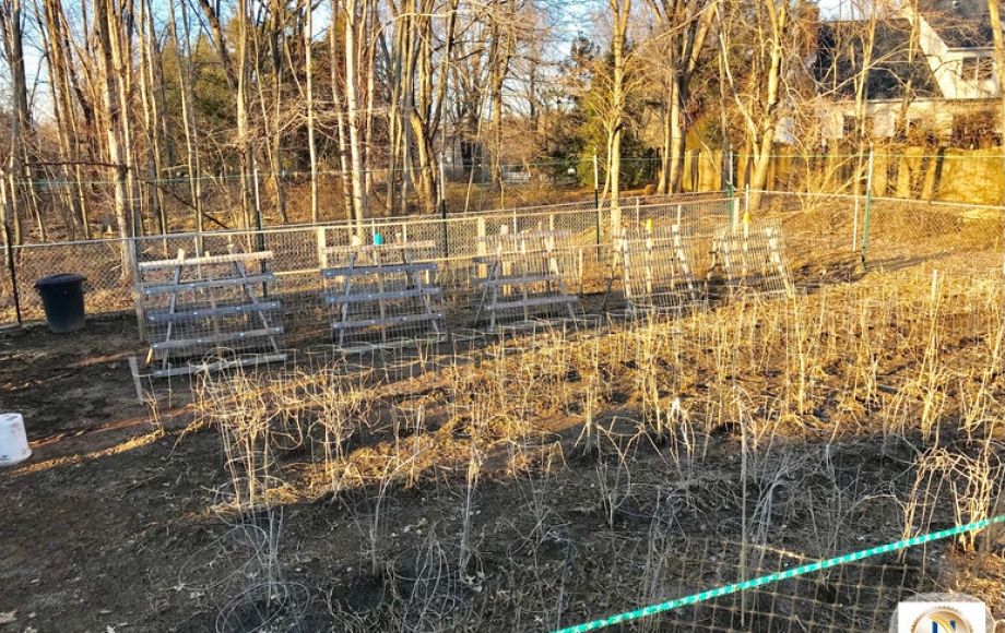 Image for 3 BR Home on 1/2 Acre Corner Lot Minutes From INOVA Loudoun Hospital & Dulles Airport