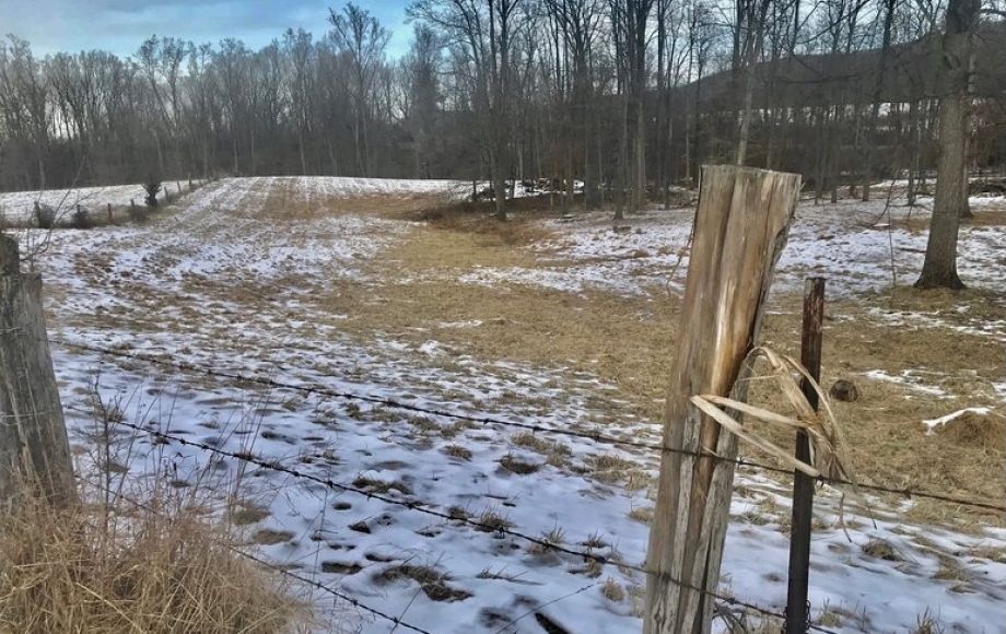 Image for 3 BR Brick Home on 17 +/- Acres w/Barns, Outbuildings, Stocked Pond & Creek