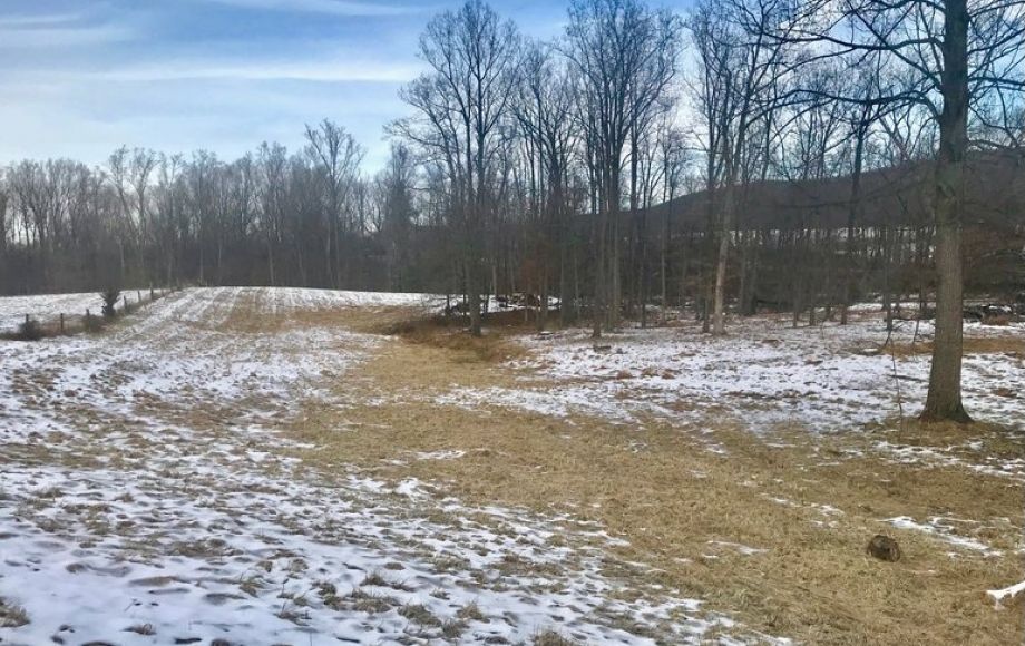 Image for 3 BR Brick Home on 17 +/- Acres w/Barns, Outbuildings, Stocked Pond & Creek