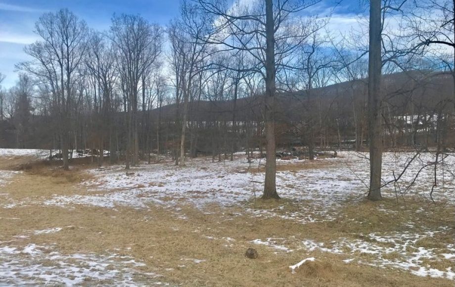 Image for 3 BR Brick Home on 17 +/- Acres w/Barns, Outbuildings, Stocked Pond & Creek