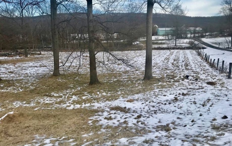 Image for 3 BR Brick Home on 17 +/- Acres w/Barns, Outbuildings, Stocked Pond & Creek