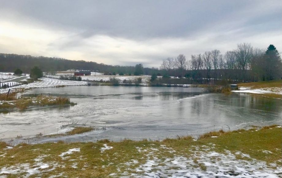 Image for 3 BR Brick Home on 17 +/- Acres w/Barns, Outbuildings, Stocked Pond & Creek