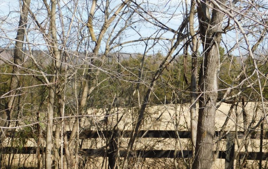 Image for Solid Well Built 3 BR/2.5 BA Home on 1.58 +/- Acres in Orange County, VA