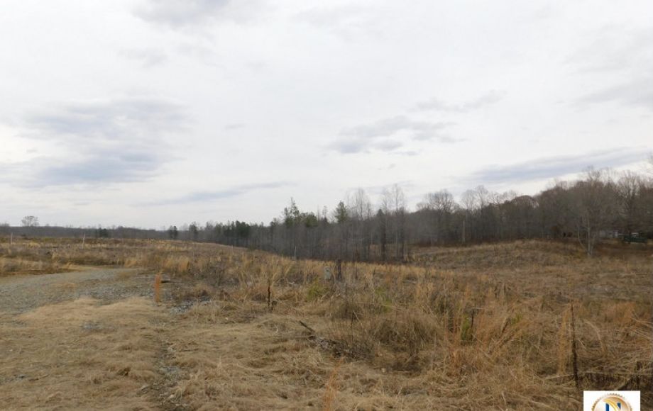 Image for 96 +/- Acres w/4 Perc Sites in Orange County, VA—Selling to the Highest Bidder!!