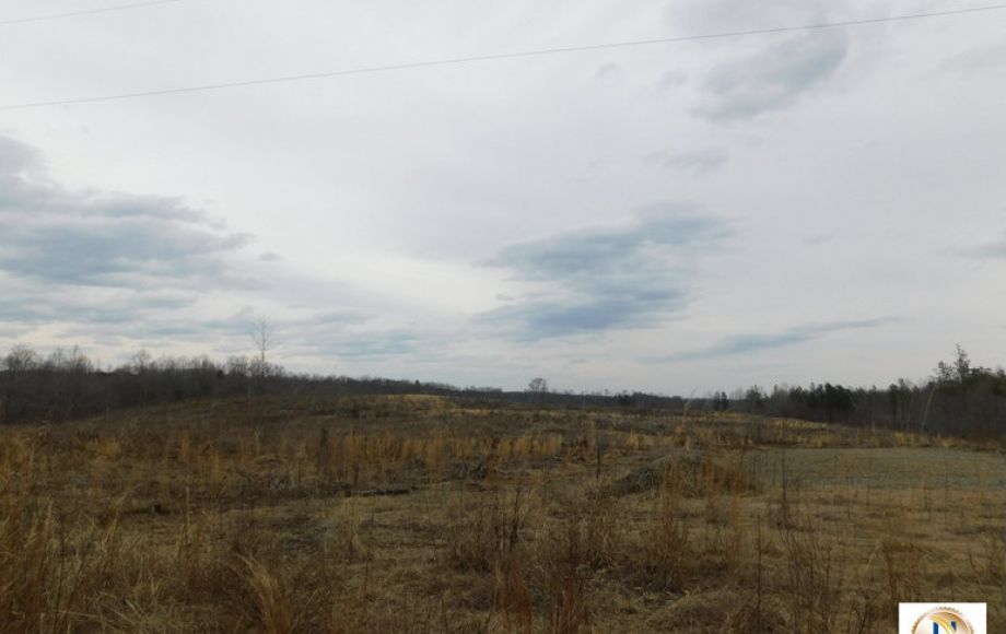 Image for 96 +/- Acres w/4 Perc Sites in Orange County, VA—Selling to the Highest Bidder!!