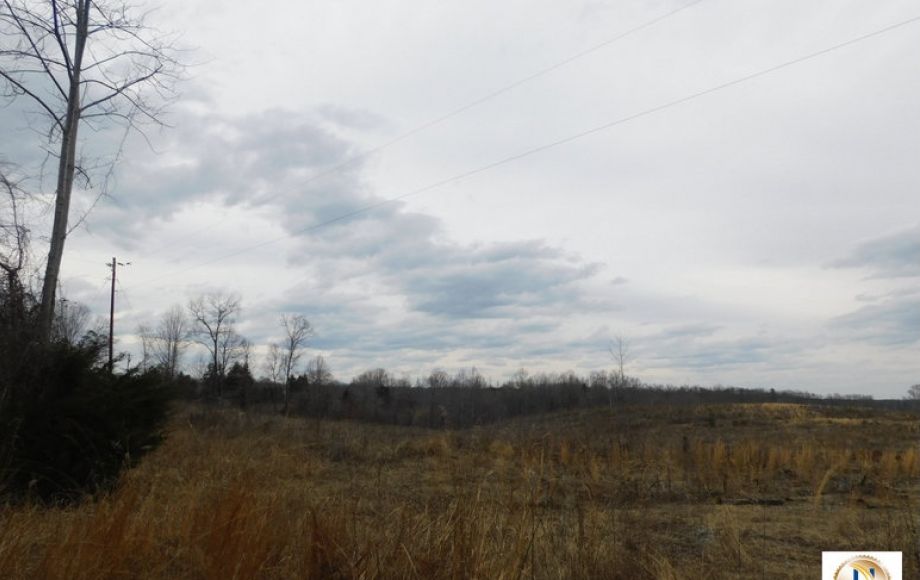 Image for 96 +/- Acres w/4 Perc Sites in Orange County, VA—Selling to the Highest Bidder!!