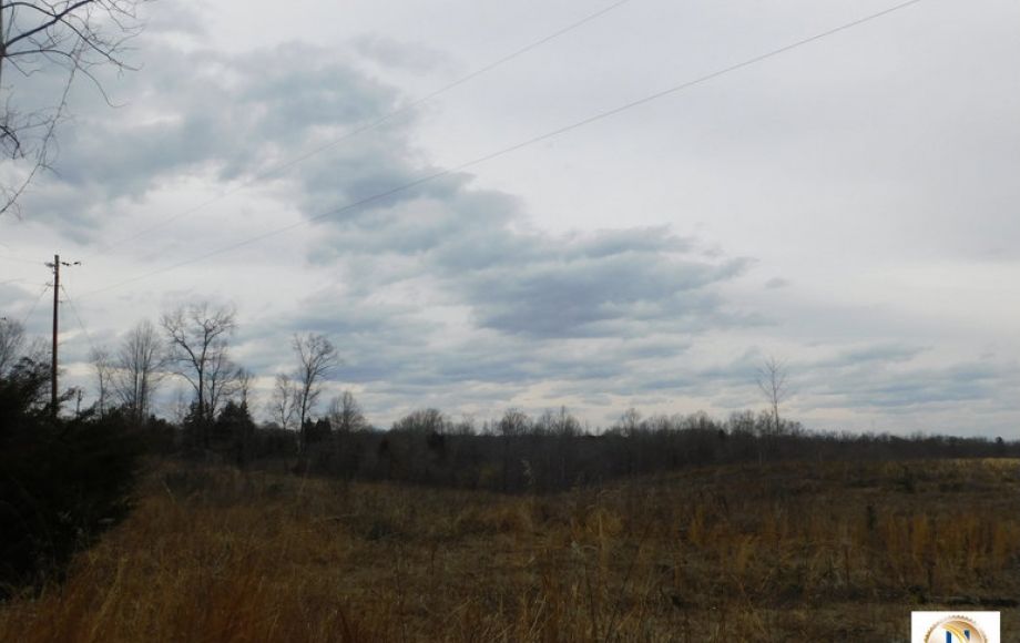 Image for 96 +/- Acres w/4 Perc Sites in Orange County, VA—Selling to the Highest Bidder!!