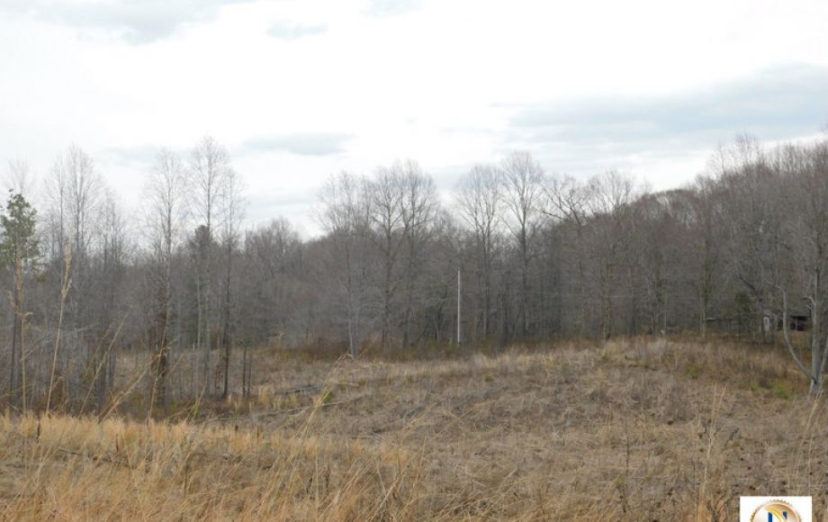 Image for 96 +/- Acres w/4 Perc Sites in Orange County, VA—Selling to the Highest Bidder!!