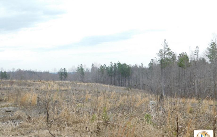 Image for 96 +/- Acres w/4 Perc Sites in Orange County, VA—Selling to the Highest Bidder!!