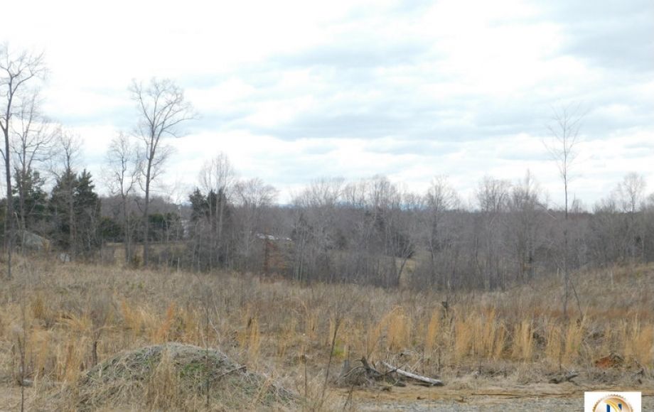 Image for 96 +/- Acres w/4 Perc Sites in Orange County, VA—Selling to the Highest Bidder!!