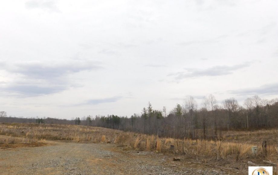 Image for 96 +/- Acres w/4 Perc Sites in Orange County, VA—Selling to the Highest Bidder!!