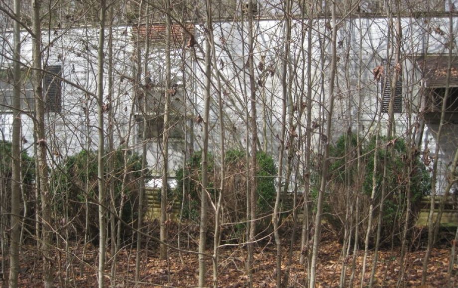 Image for 1.25 +/- Acres w/Dwelling, Shed & 1968 Ford Fairlane—Selling for One Price!! ONLINE ONLY BIDDING!!