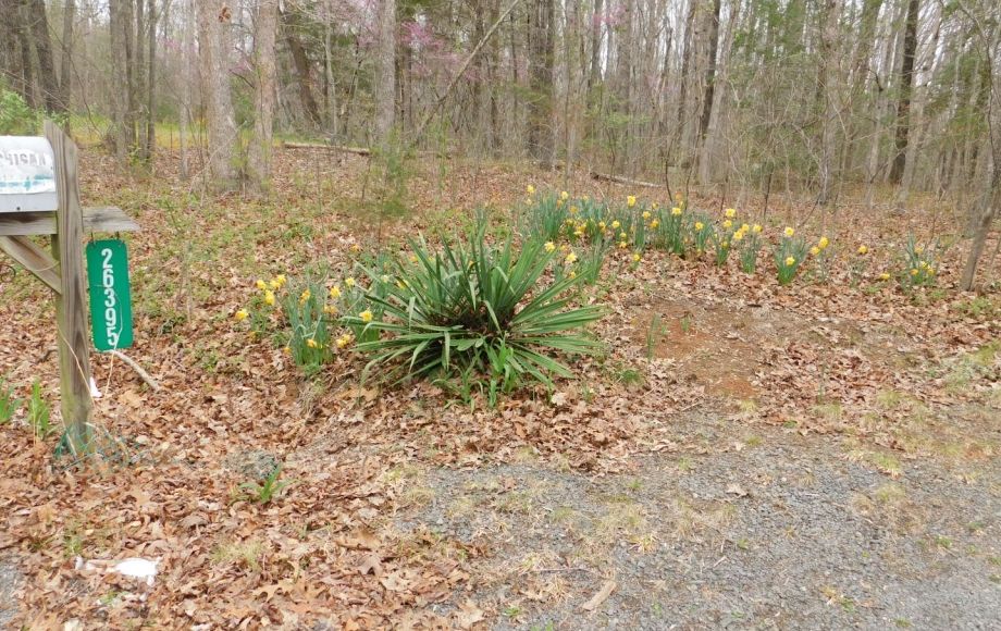 Image for 4 BR/2 BA Home on 4.8 +/- Wooded Acres in Orange County, VA—SELLS to the HIGHEST BIDDER!!