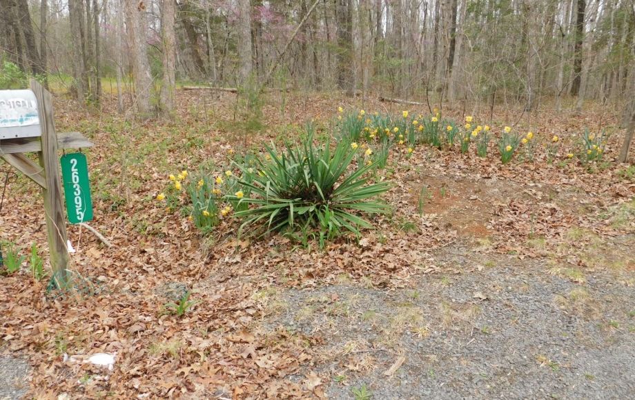 Image for 4 BR/2 BA Home on 4.8 +/- Wooded Acres in Orange County, VA—SELLS to the HIGHEST BIDDER!!