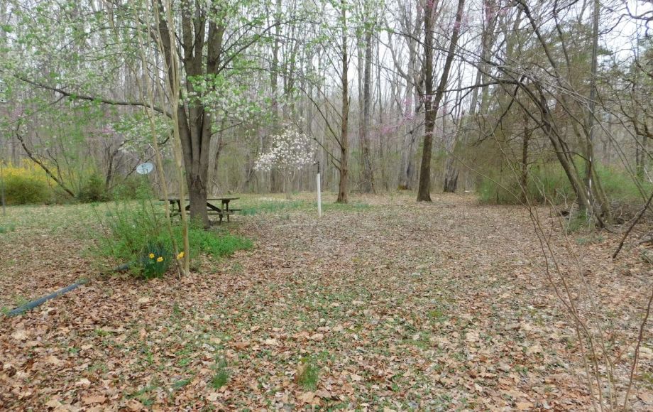 Image for 4 BR/2 BA Home on 4.8 +/- Wooded Acres in Orange County, VA—SELLS to the HIGHEST BIDDER!!
