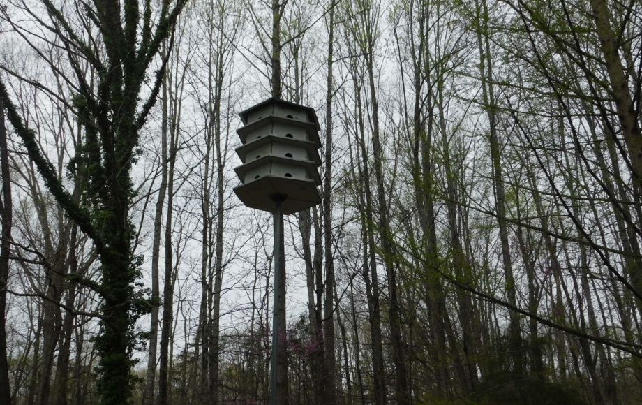 Image for 4 BR/2 BA Home on 4.8 +/- Wooded Acres in Orange County, VA—SELLS to the HIGHEST BIDDER!!