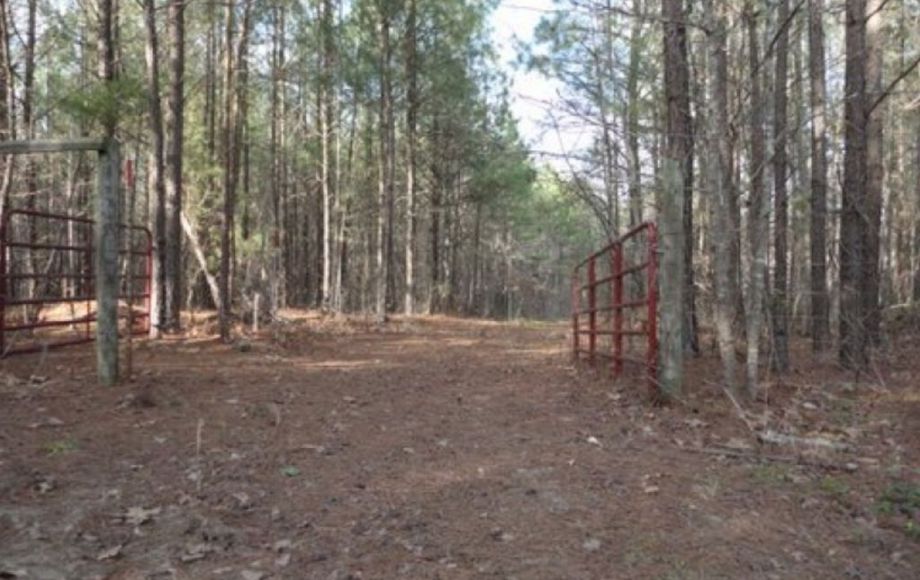 Image for ABSOLUTE AUCTION of 88 ACRES & 3 BR/2 BA HOME