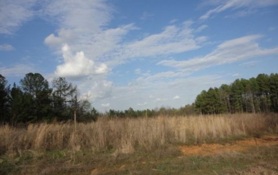 Image for ABSOLUTE AUCTION of 88 ACRES & 3 BR/2 BA HOME