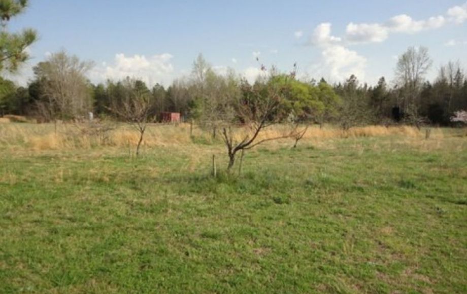 Image for ABSOLUTE AUCTION of 88 ACRES & 3 BR/2 BA HOME