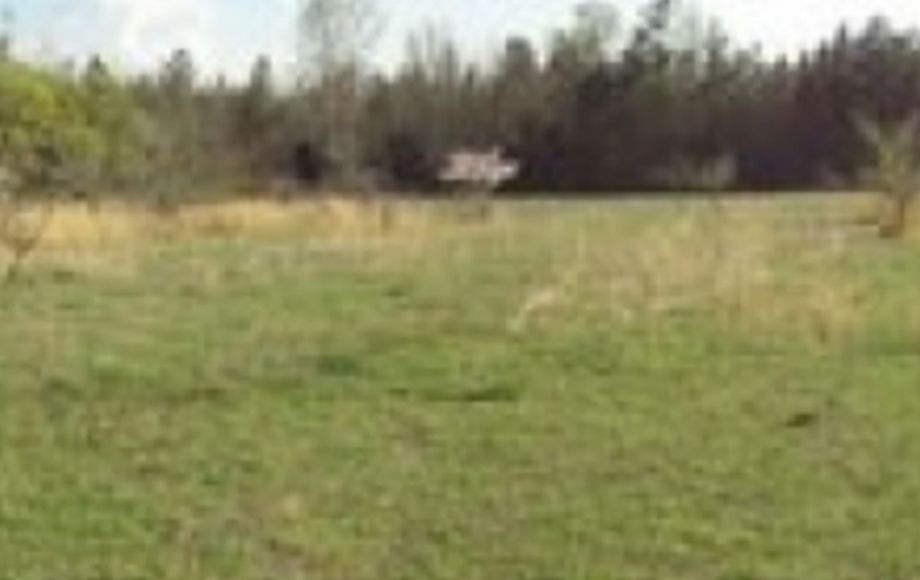 Image for ABSOLUTE AUCTION of 88 ACRES & 3 BR/2 BA HOME