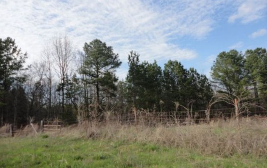 Image for ABSOLUTE AUCTION of 88 ACRES & 3 BR/2 BA HOME