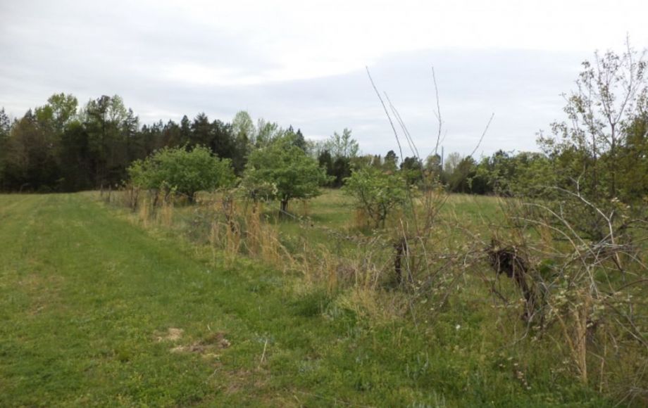 Image for ABSOLUTE AUCTION of 88 ACRES & 3 BR/2 BA HOME