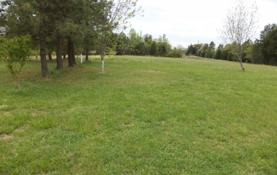 Image for ABSOLUTE AUCTION of 88 ACRES & 3 BR/2 BA HOME