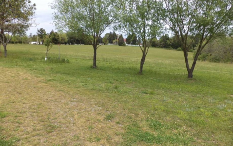 Image for ABSOLUTE AUCTION of 88 ACRES & 3 BR/2 BA HOME