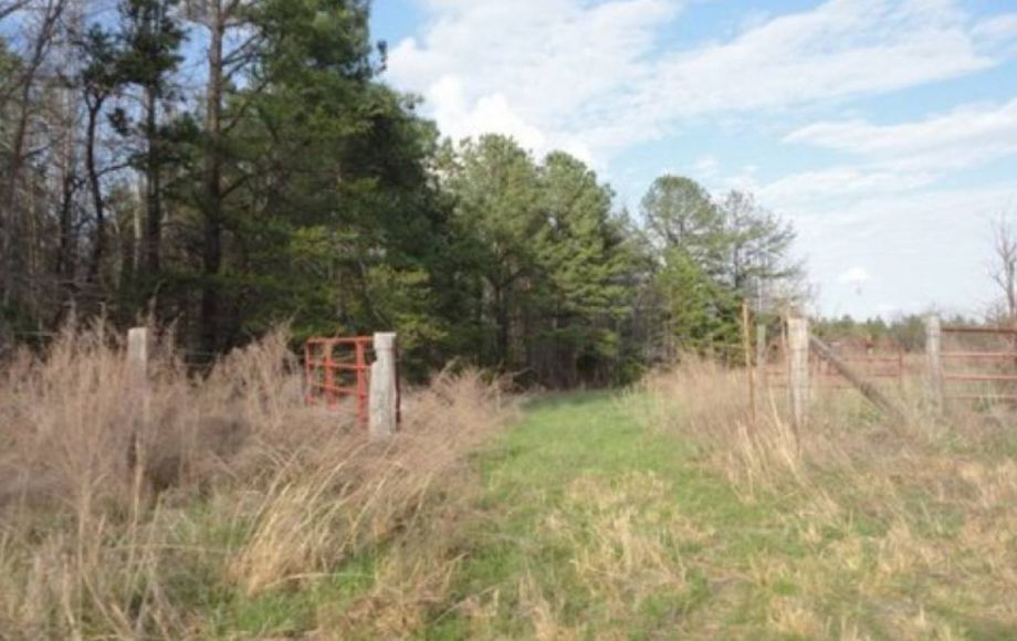 Image for ABSOLUTE AUCTION of 88 ACRES & 3 BR/2 BA HOME