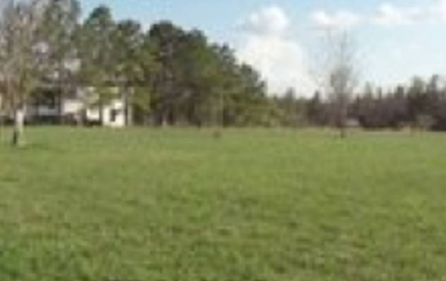 Image for ABSOLUTE AUCTION of 88 ACRES & 3 BR/2 BA HOME
