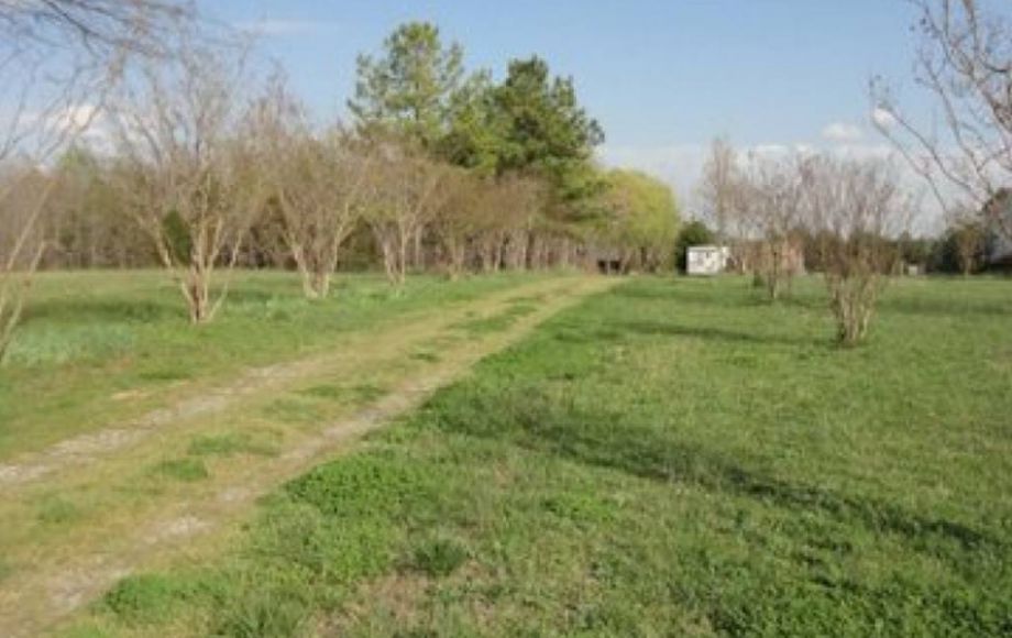 Image for ABSOLUTE AUCTION of 88 ACRES & 3 BR/2 BA HOME
