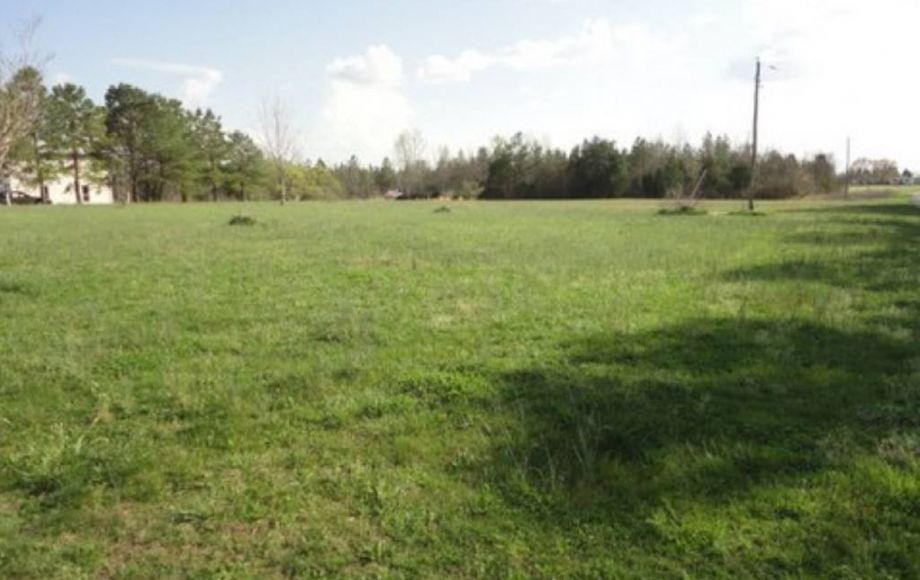 Image for ABSOLUTE AUCTION of 88 ACRES & 3 BR/2 BA HOME