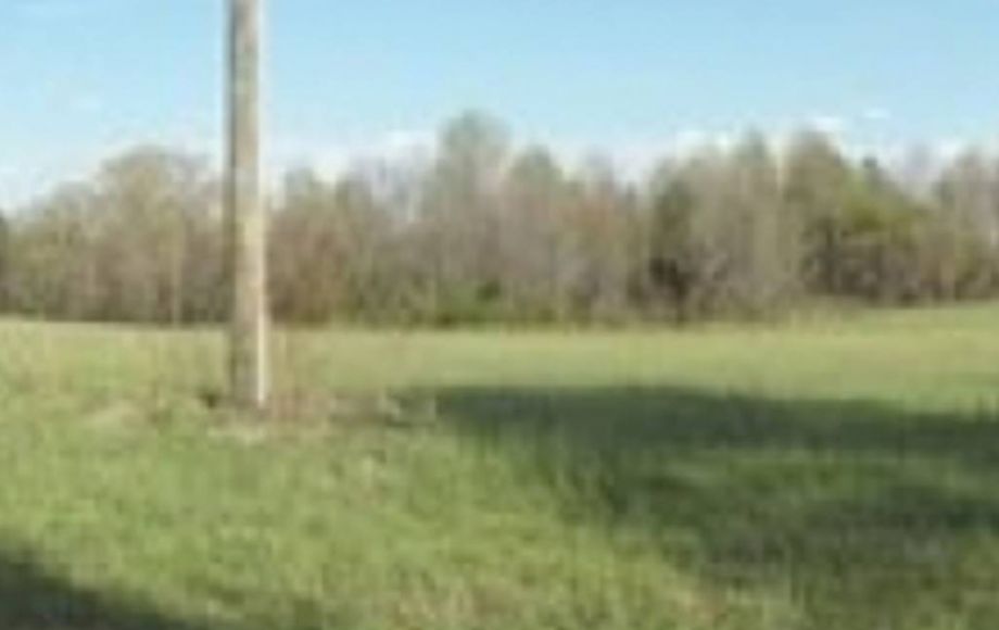 Image for ABSOLUTE AUCTION of 88 ACRES & 3 BR/2 BA HOME