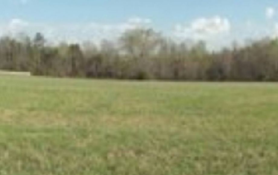 Image for ABSOLUTE AUCTION of 88 ACRES & 3 BR/2 BA HOME