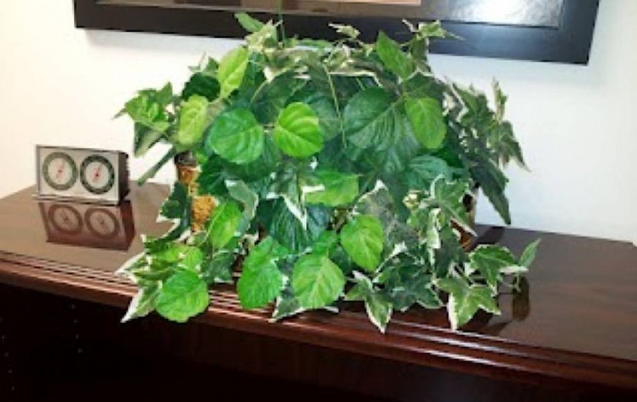 Image for OFFICE FURNITURE & EQUIPMENT—ONLINE ONLY AUCTION!!