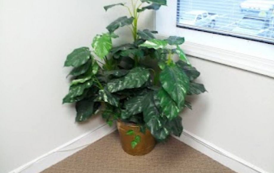 Image for OFFICE FURNITURE & EQUIPMENT—ONLINE ONLY AUCTION!!