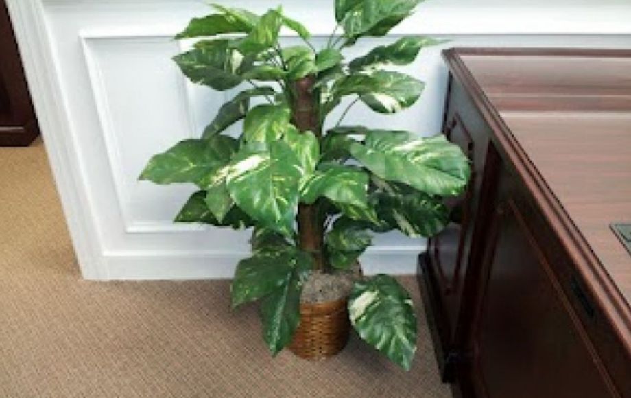 Image for OFFICE FURNITURE & EQUIPMENT—ONLINE ONLY AUCTION!!