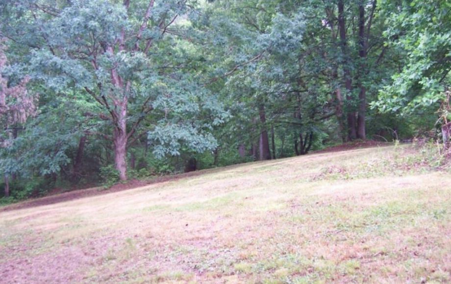 Image for 3 BR/2 BA HOME on 1.23 ACRES in NORTH STAFFORD!!