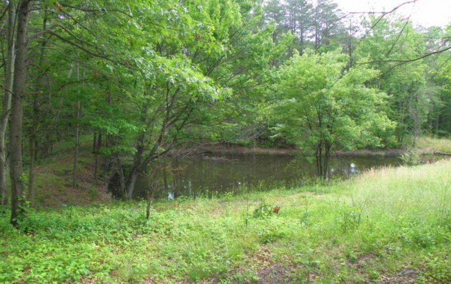 Image for 3 BR HOME on 1 ACRE w/POND in STAFFORD, VA