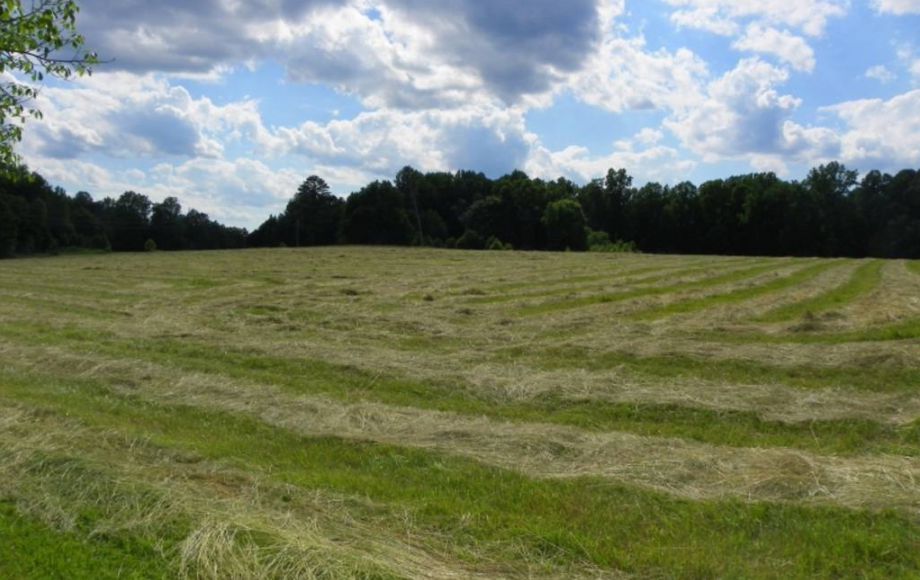 Image for 38 ACRES & 3 BR HOME in SPOTSYLVANIA COUNTY, VA